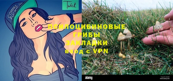 бошки Армянск