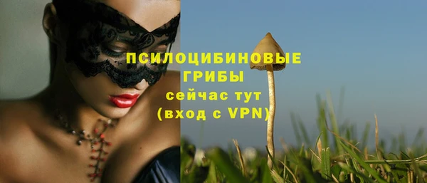 PSILOCYBIN Арсеньев