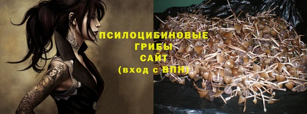 прущие крисы Аркадак
