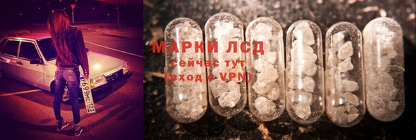 прущие крисы Аркадак
